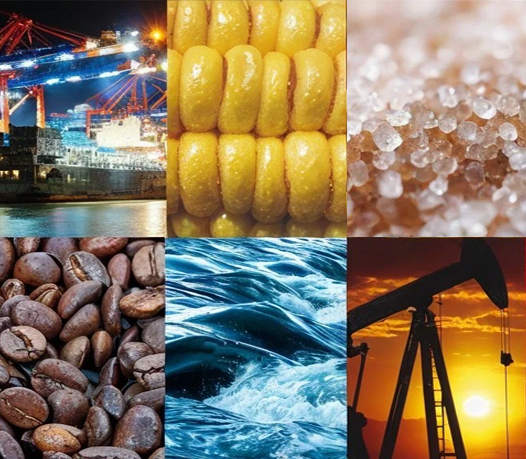 Fertilizers & Agricultural Inputs